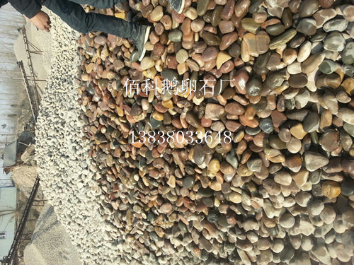 近段鵝卵石價格怎樣？